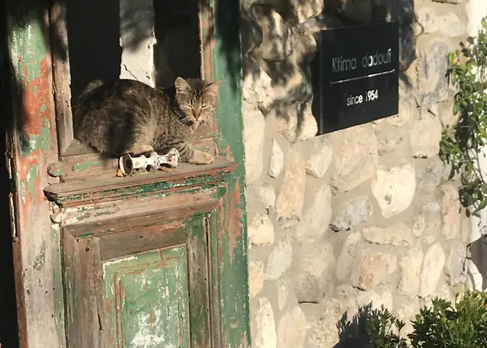 Apartmán Ktima Dadouli *