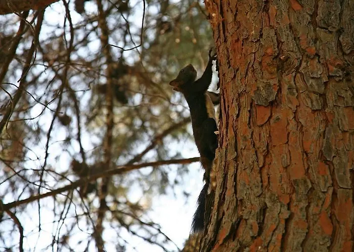 Apartmán Ktima Dadouli Plaka Litochorou