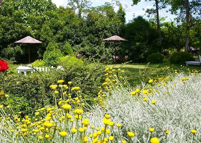 Apartmán Ktima Dadouli *