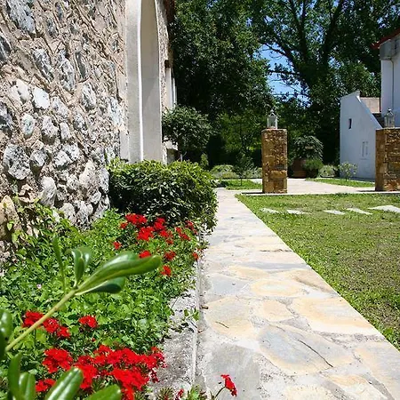 Ktima Dadouli * Plaka Litochorou